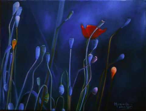 Coquelicot en lumière du soir